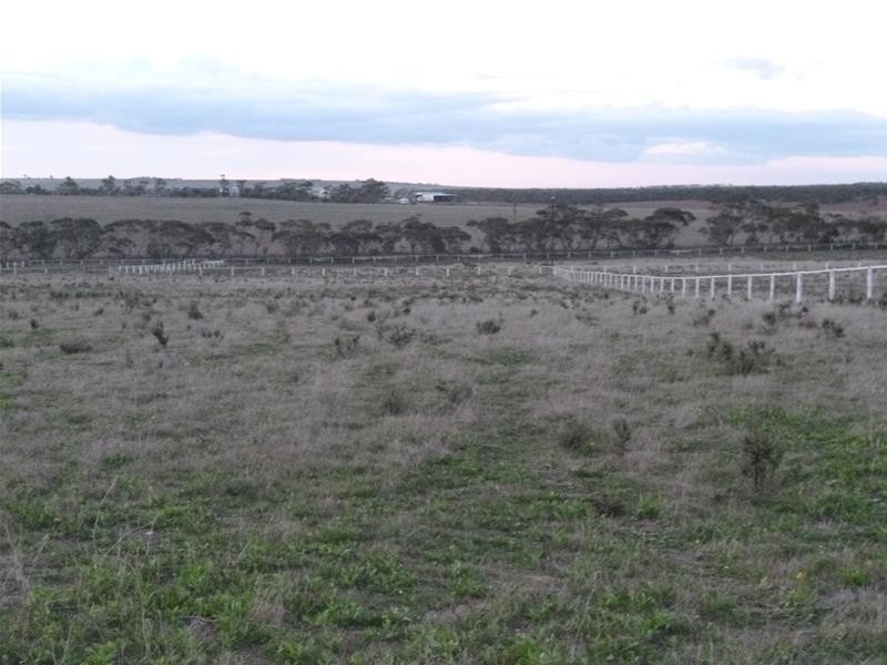 Sect 486 Flood Road, Mannum SA 5238