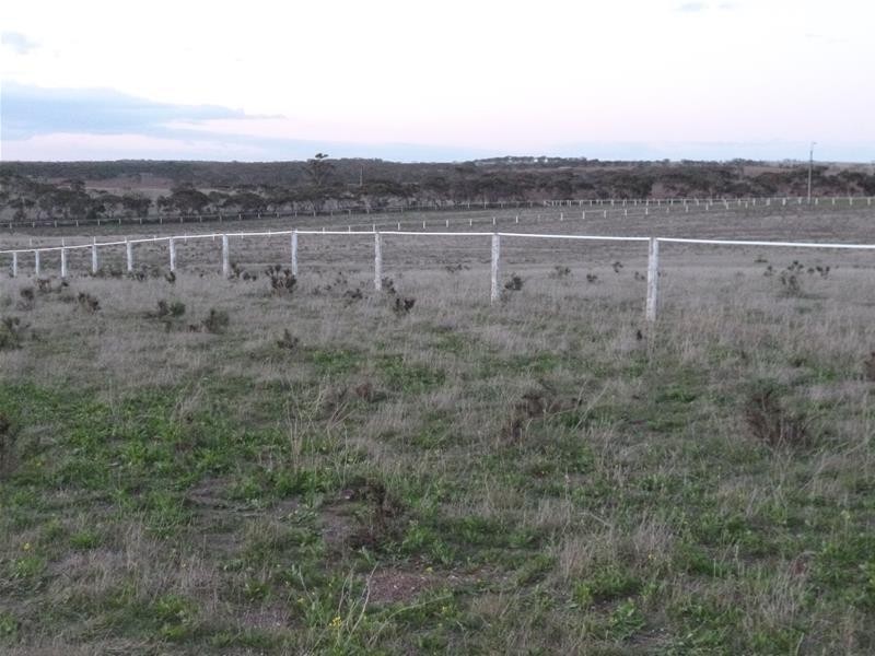 Sect 486 Flood Road, Mannum SA 5238