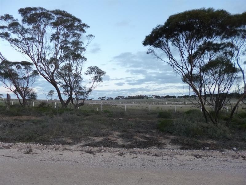 Sect 486 Flood Road, Mannum SA 5238