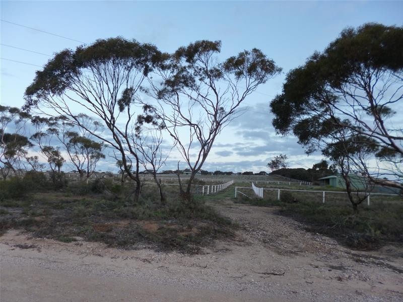 Sect 486 Flood Road, Mannum SA 5238