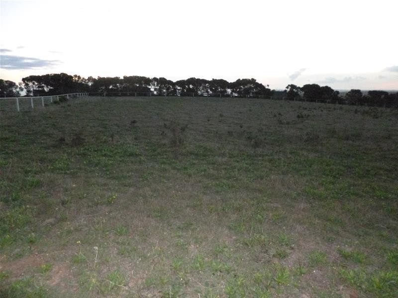 Sect 486 Flood Road, Mannum SA 5238
