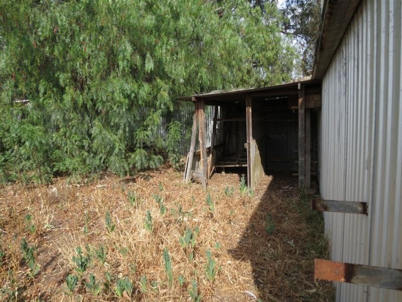 11 Hamilton Street, Mannum SA 5238