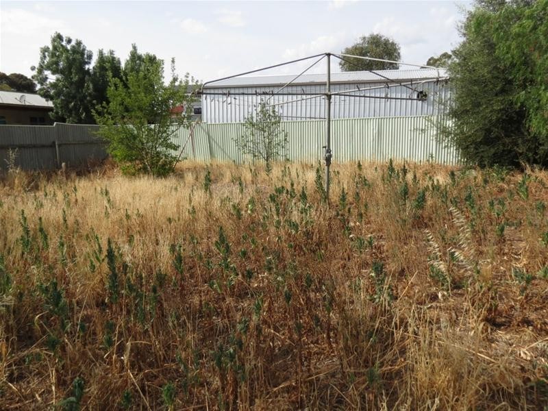 11 Hamilton Street, Mannum SA 5238