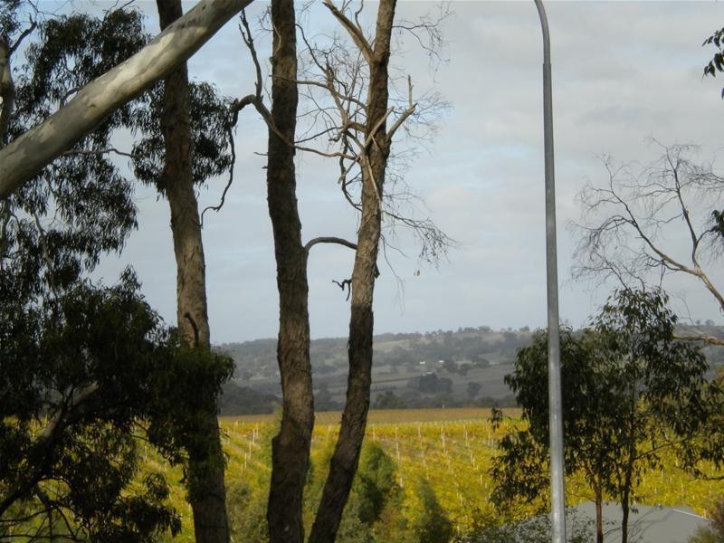 2/30 Frick Street, Lobethal SA 5241