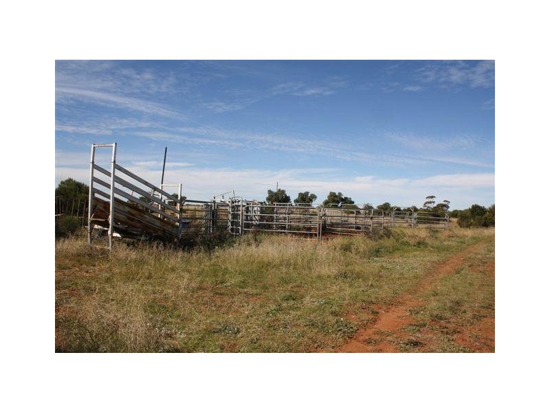 1665 Hunter Road, Swan Reach SA 5354