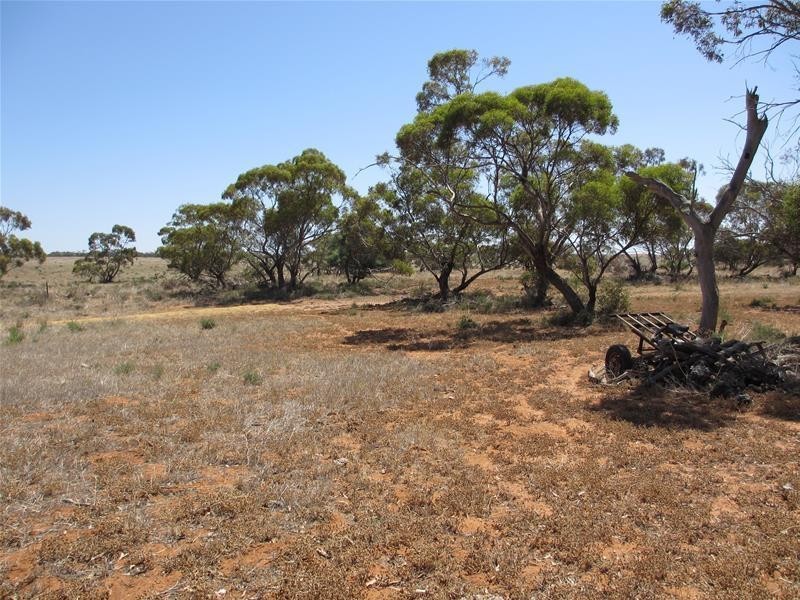 Lot 8 Stott Highway, Swan Reach SA 5354