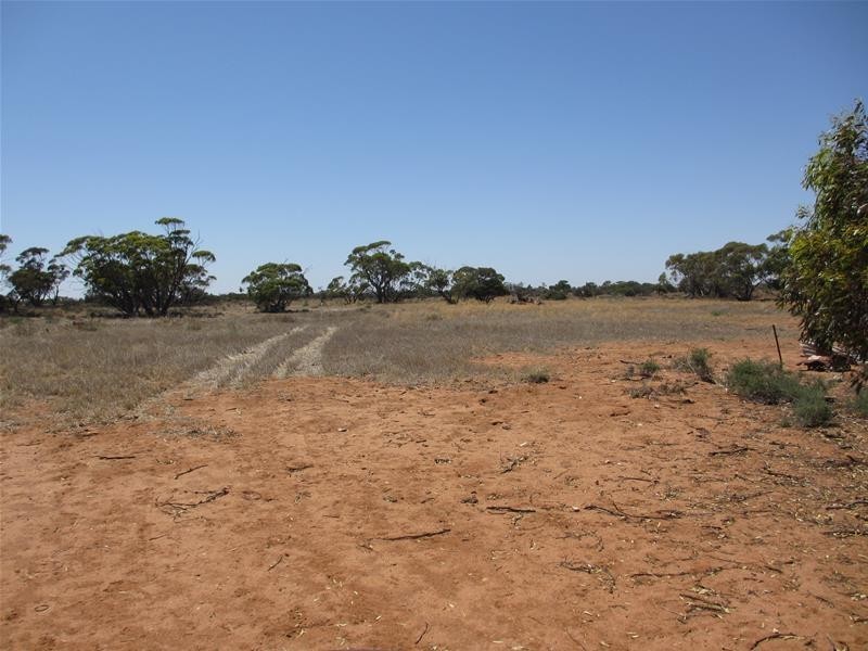 Lot 8 Stott Highway, Swan Reach SA 5354