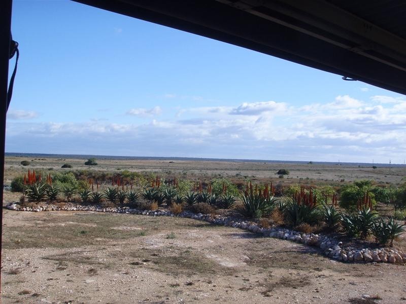 2885 Hunter Road, Swan Reach SA 5354