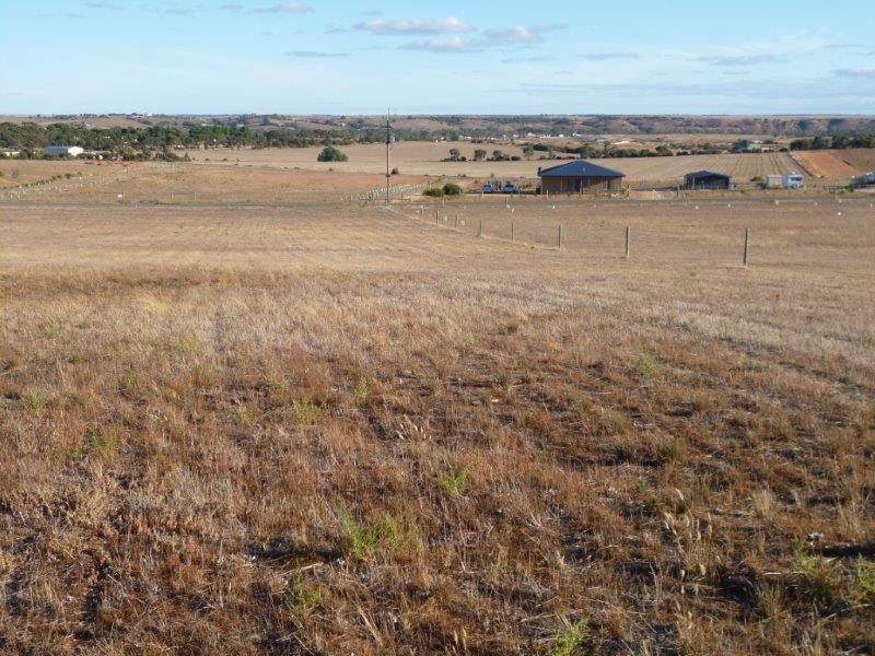 26 Magpie Crescent, Mannum SA 5238