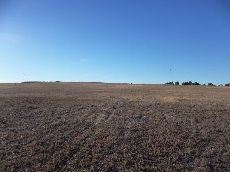 26 Magpie Crescent, Mannum SA 5238