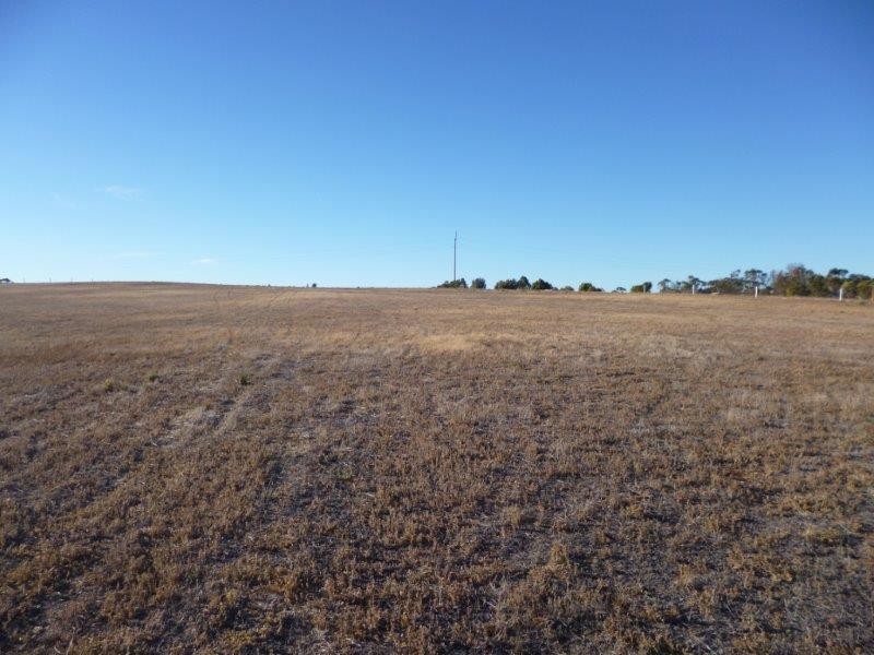 26 Magpie Crescent, Mannum SA 5238