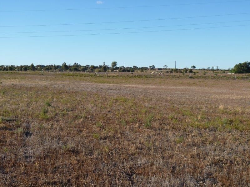 26 Magpie Crescent, Mannum SA 5238