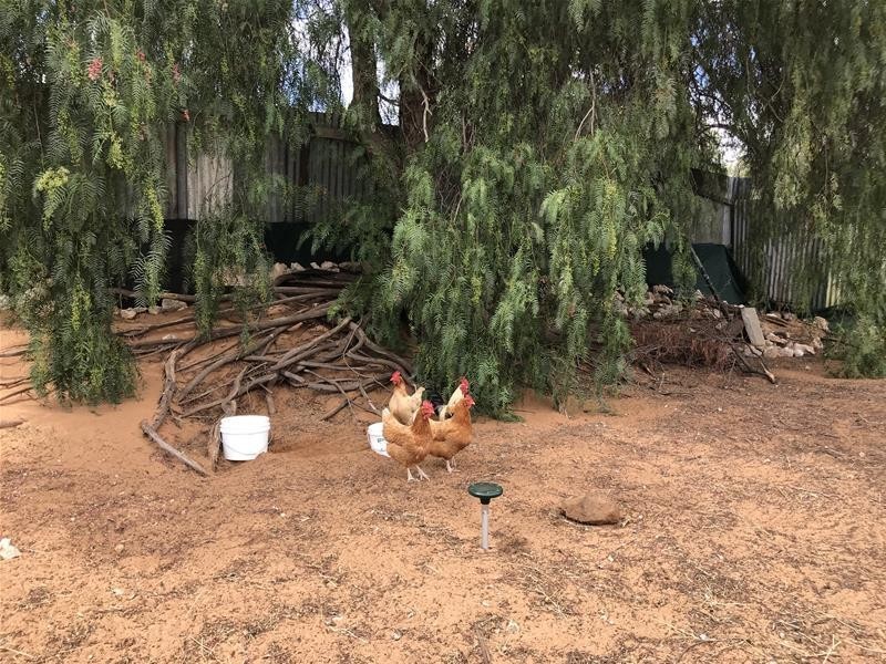 22 Horstmann Crescent, Swan Reach SA 5354