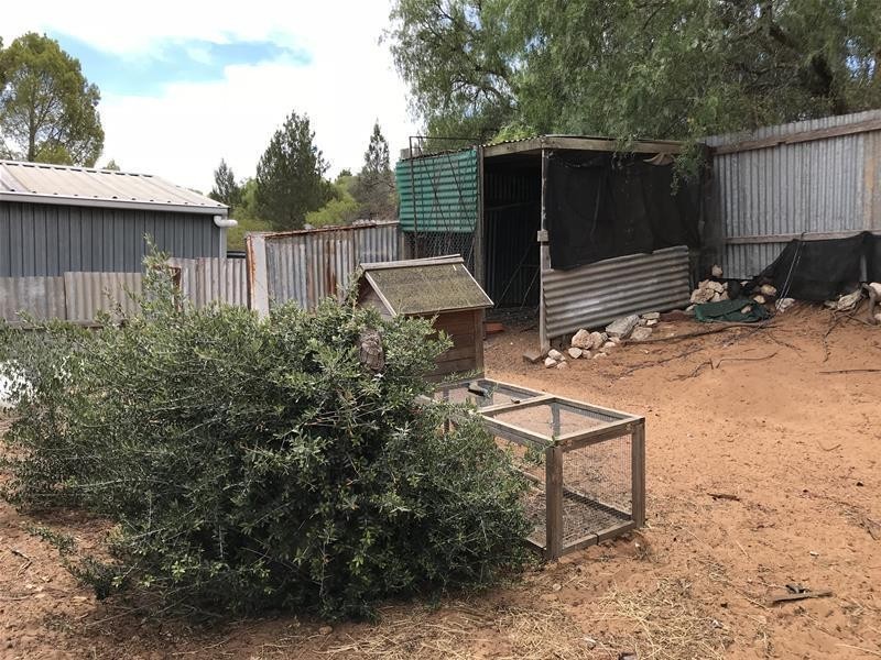 22 Horstmann Crescent, Swan Reach SA 5354