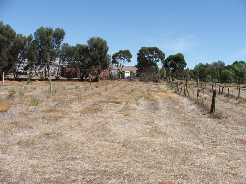 293 ONE BLOCK REMAINING, Cambrai SA 5353