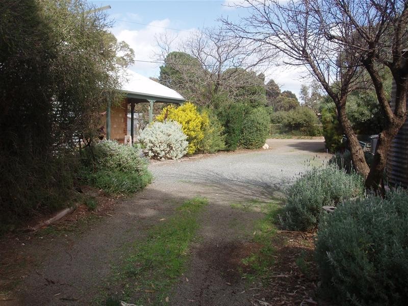 Lot 17 Skinner Street, Cambrai SA 5353