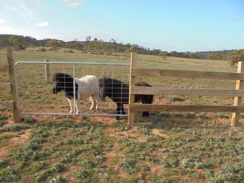 7952 Murraylands Road, Black Hill SA 5353