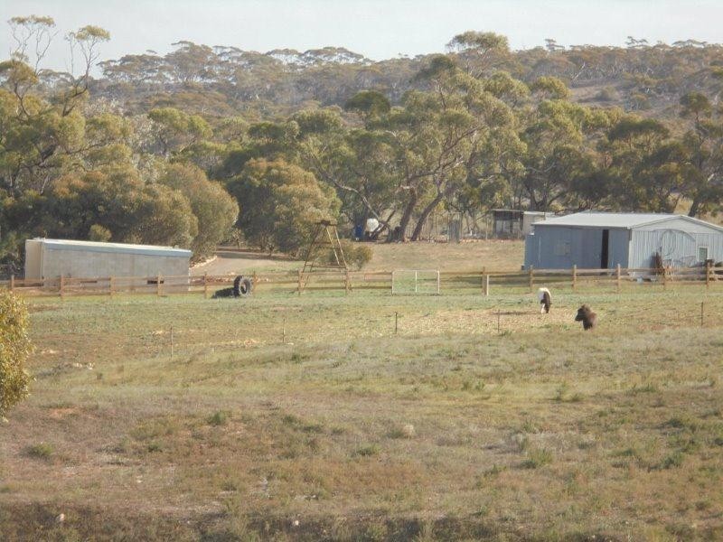 7952 Murraylands Road, Black Hill SA 5353