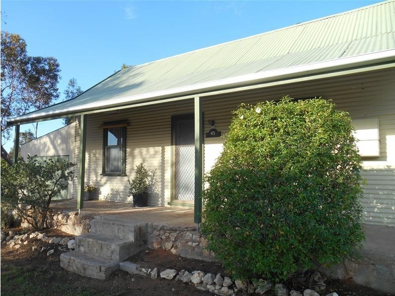 45 Connors Road, Swan Reach SA 5354