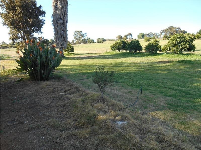 45 Connors Road, Swan Reach SA 5354