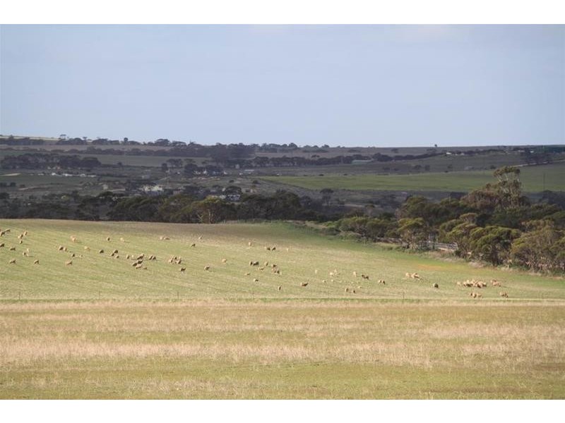 39 cnr Ridley and Randell Road, Mannum SA 5238