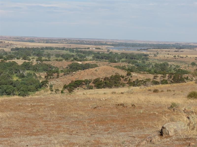 332 Abraham Road, Mannum SA 5238