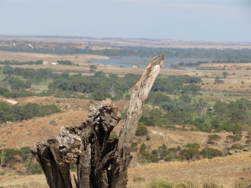 332 Abraham Road, Mannum SA 5238