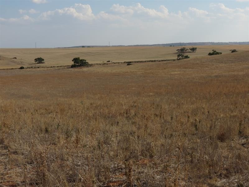 332 Abraham Road, Mannum SA 5238