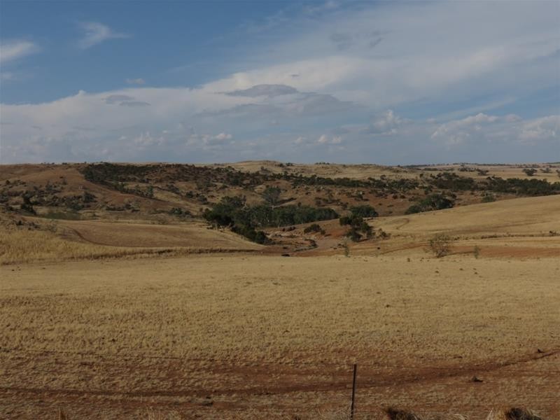 332 Abraham Road, Mannum SA 5238