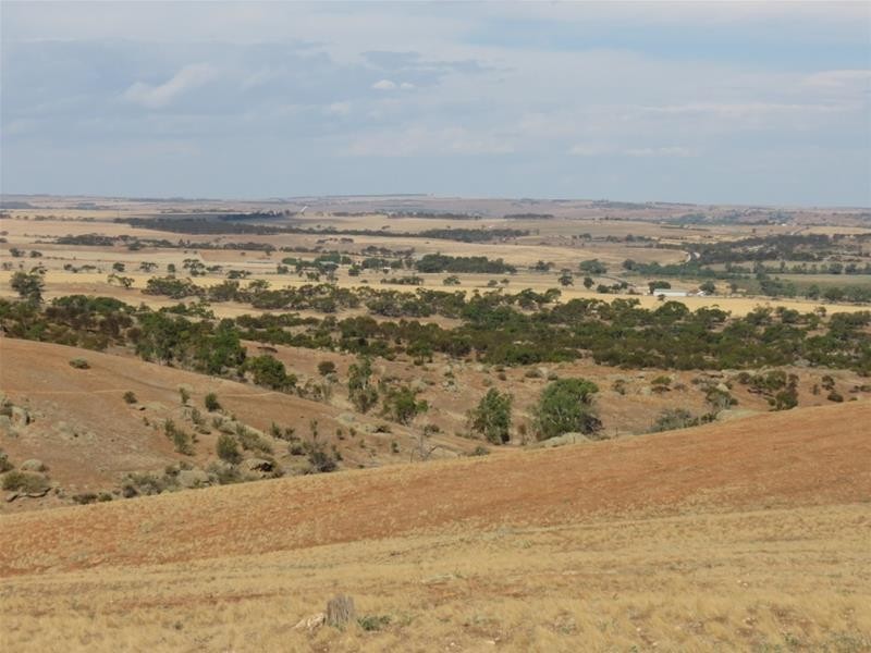 332 Abraham Road, Mannum SA 5238