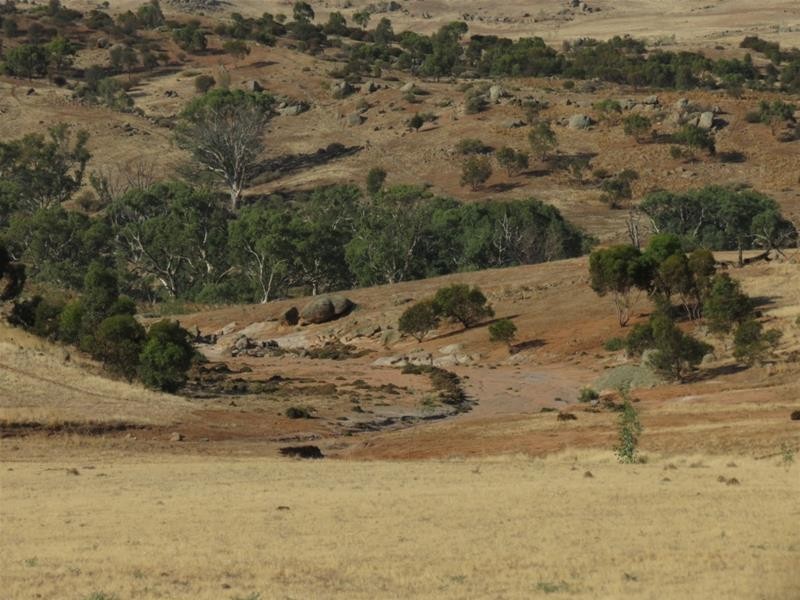 332 Abraham Road, Mannum SA 5238