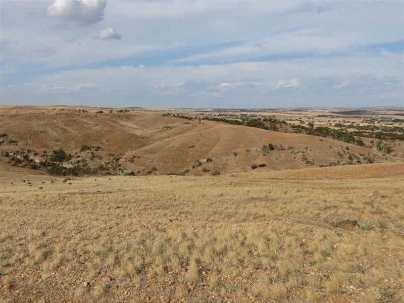 332 Abraham Road, Mannum SA 5238