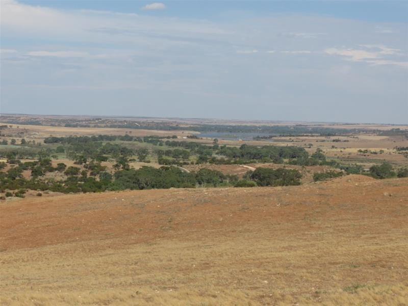 332 Abraham Road, Mannum SA 5238