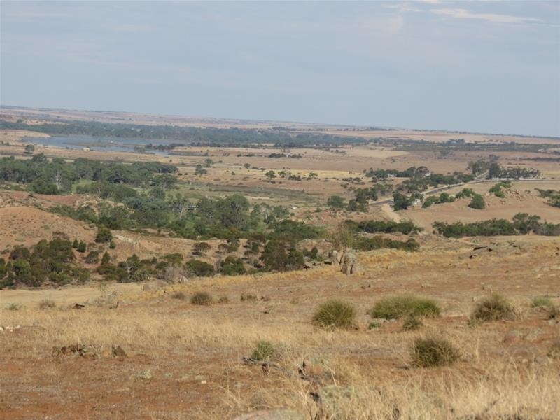 332 Abraham Road, Mannum SA 5238