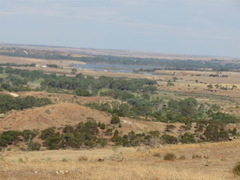 332 Abraham Road, Mannum SA 5238