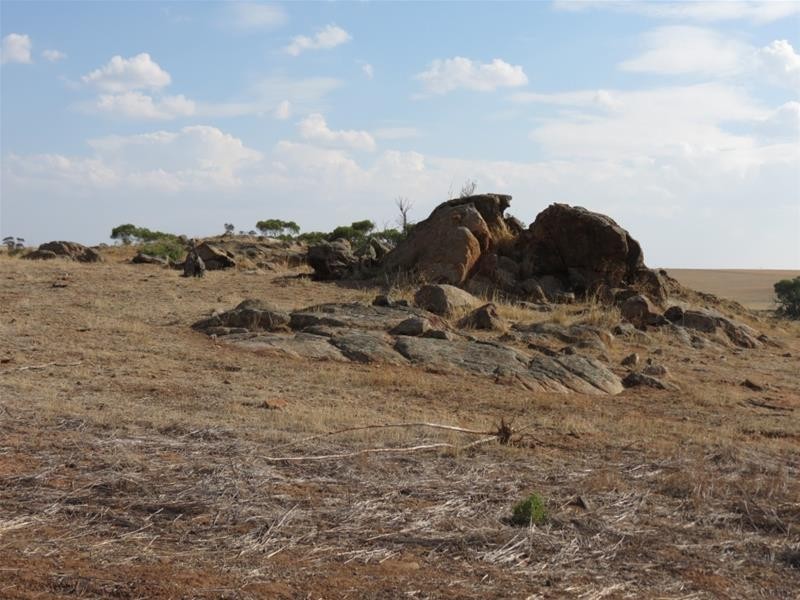 332 Abraham Road, Mannum SA 5238