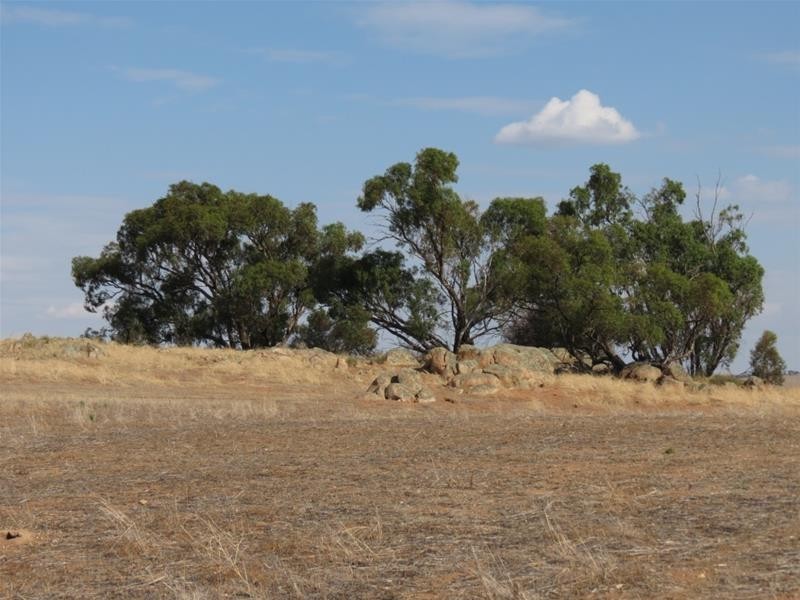 332 Abraham Road, Mannum SA 5238