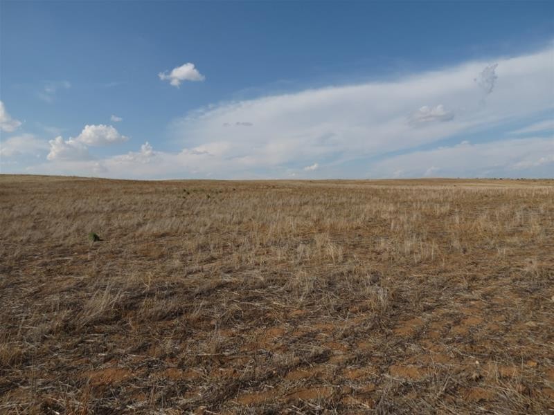 332 Abraham Road, Mannum SA 5238