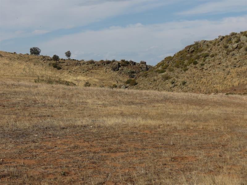 332 Abraham Road, Mannum SA 5238