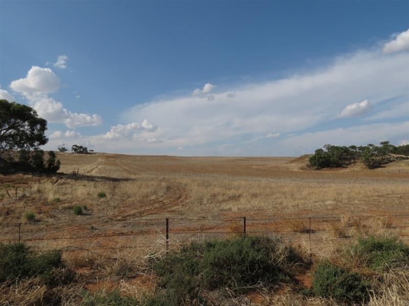 332 Abraham Road, Mannum SA 5238