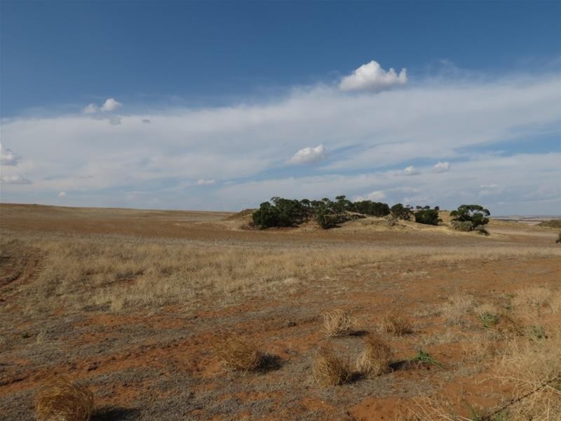 332 Abraham Road, Mannum SA 5238