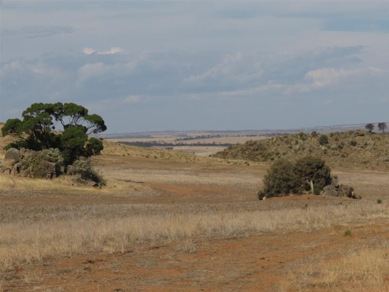 332 Abraham Road, Mannum SA 5238