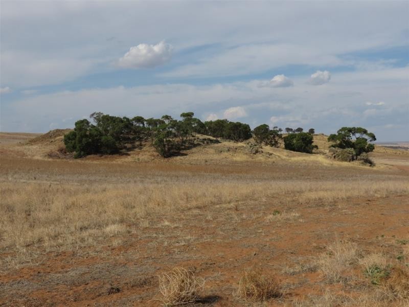 332 Abraham Road, Mannum SA 5238