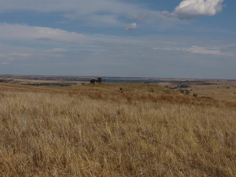 332 Abraham Road, Mannum SA 5238