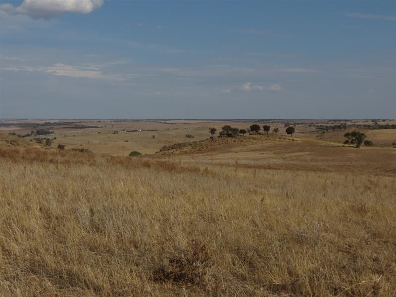 332 Abraham Road, Mannum SA 5238