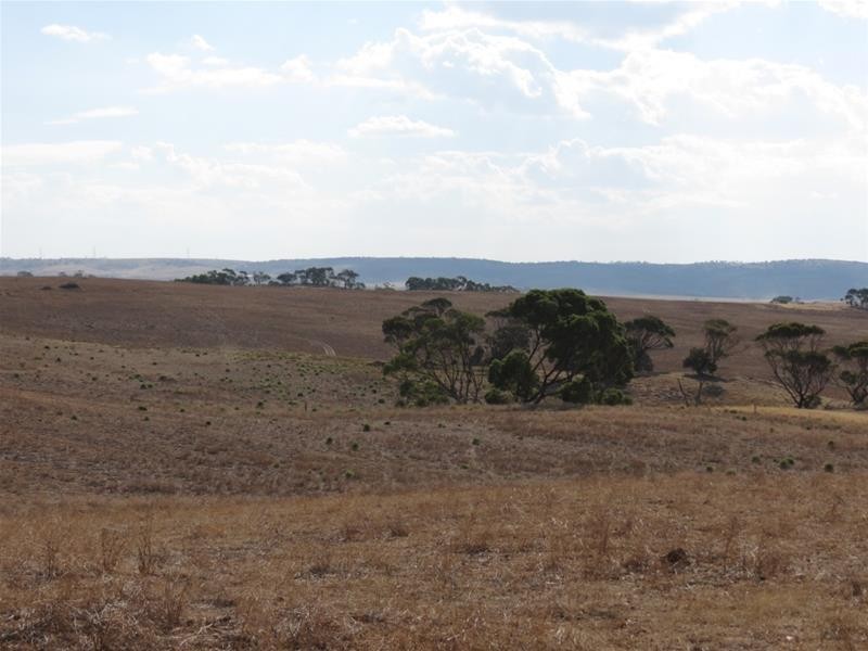 332 Abraham Road, Mannum SA 5238