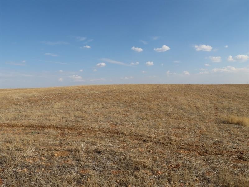 332 Abraham Road, Mannum SA 5238