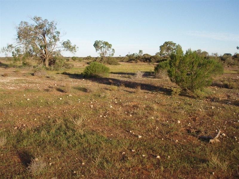 Section 97 Broncos Road, Swan Reach SA 5354