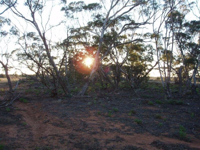 Section 97 Broncos Road, Swan Reach SA 5354