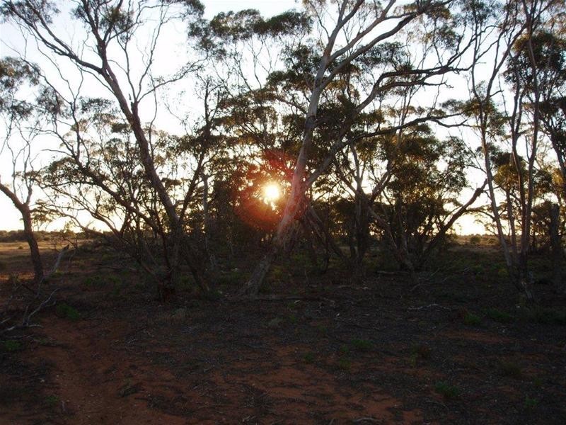 Section 97 Broncos Road, Swan Reach SA 5354